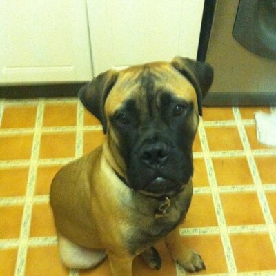 Profile Picture of Colin Brooks (@colinbrooks4) on Twitter