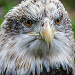 Profile Picture of John Wiley (@JVWILEY Photography) on Flickr