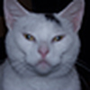 Profile Picture of Richard Dobson (@Richard Dobson) on Flickr