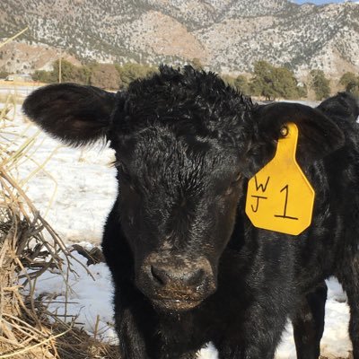 Jon Vaupel - Twitter Profile Picture of Jon Vaupel (@jon_vaupel) on Twitter