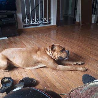 Profile Picture of Colin Best Jenkins (@colinbest.jenkins) on Facebook