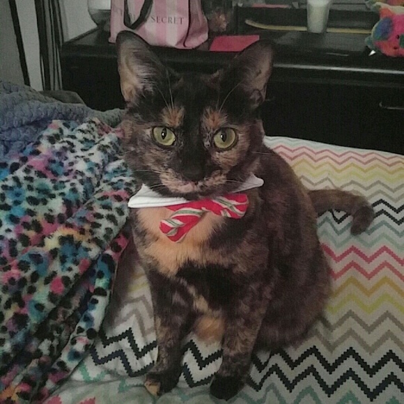 Profile Picture of Rosalynn Nugent (@rossi8812) on Poshmark