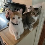 Profile Picture of Makenzie Breland (@Makenzie-Breland) on Facebook