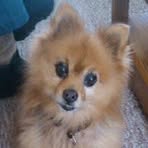 Profile Picture of Lorraine Gaudreau (@lorraine.gaudreau.9) on Facebook