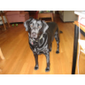 Profile Picture of Julia Gaffney (@juliagaffney6228) on Youtube