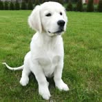 Profile Picture of Robin Labossière (@Robin-Labossière) on Facebook