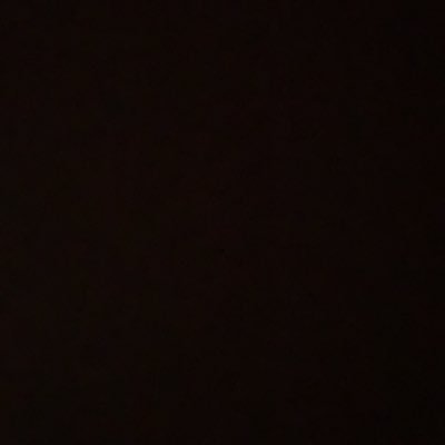 Profile Picture of Alejandro Torres (@PapabearAlex16) on Twitter