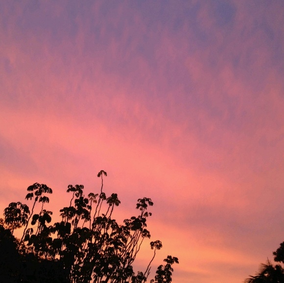 Profile Picture of Sophia Do (@faerilander) on Poshmark