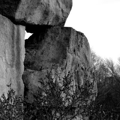 Profile Picture of Michael DeRose (@mcderose) on Twitter