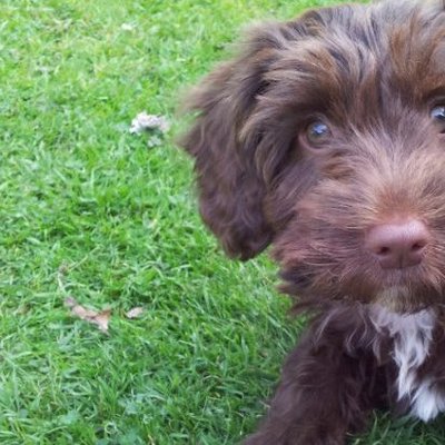 Dan Merrick - Twitter Profile Picture of Dan Merrick (@DMERRICK_2003) on Twitter