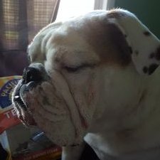 Profile Picture of Seafu07 (@ChrisYardley4) on Twitter