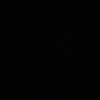 Profile Picture of Bianca Carbone (@bianca-carbone-5) on Quora