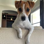 Profile Picture of David Imler (@dimler77) on Instagram