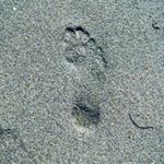 Profile Picture of Jeffrey Cote (@jcote1974) on Instagram