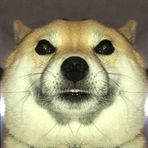 Profile Picture of Matthew Zavala (@matthew.zavala.9256) on Facebook