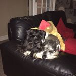 Profile Picture of Tracy Mellor (@mellor_tracy) on Instagram