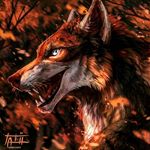 Profile Picture of Clover fox (@fox.clover) on Instagram