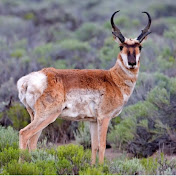 Profile Picture of Brian Kan (@briankan7250) on Youtube