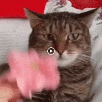 Profile Picture of Jean Carlos Jose Martínez Moquete (@jean-carlos-jose-martínez-moquete) on Quora