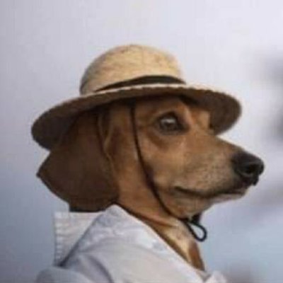 Profile Picture of Joeon Twitter