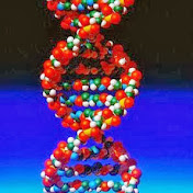 Profile Picture of R Paula (@rpaula5133) on Youtube