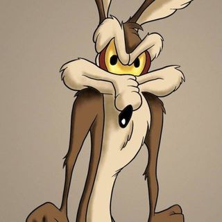 Profile Picture of Steve Findlay (@steve.findlay.733) on Facebook