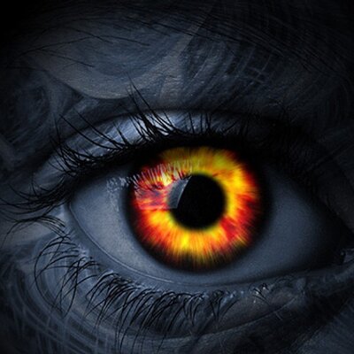 Profile Picture of Bryan Reimers (@bgmbears0911) on Twitter