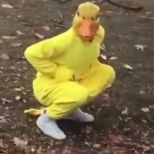 Profile Picture of Anonymous Duck (@GuyAlder) on Twitter