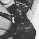 Profile Picture of Roxy and Honey (@roxy_honey_) on Instagram