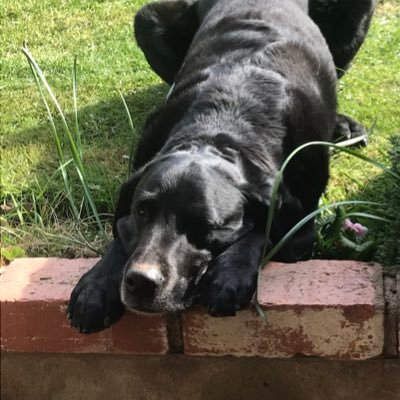 Profile Picture of Paul Round (@roundy78) on Twitter