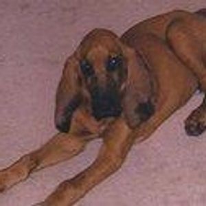 Profile Picture of Sherrie Nelson (@316782477) on Myspace