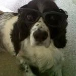 Profile Picture of mark benton (@benton.mark) on Instagram