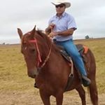 Profile Picture of Martin Gomes (@martin28gomes) on Instagram