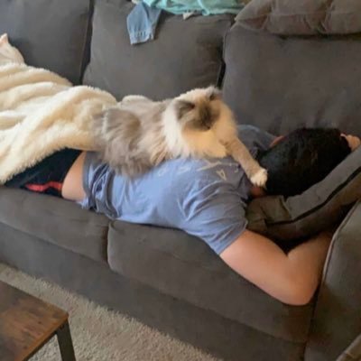 Profile Picture of Steven Rohan (@SteveRohan10) on Twitter