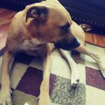 Profile Picture of Julio Puente (@that_one_kid__14) on Instagram