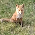 Profile Picture of Jeffrey Trick (@Jeffrey-Trick) on Facebook