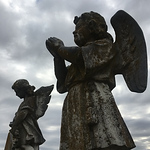 Profile Picture of Photography By Shelly Ann Little (@photography by shelly ann little) on Flickr