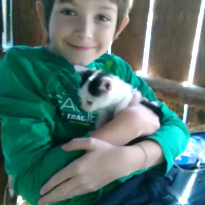 Profile Picture of kolp (@richardrosenberge6) on Tiktok