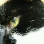 Profile Picture of Hollie Sunshine Christopher (@ladybutterflyc) on Instagram