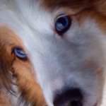 Profile Picture of Pamela Clare (@onaclareday) on Instagram