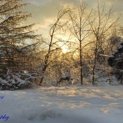 Profile Picture of Bill Frysinger (@WolfWatchers) on Twitter