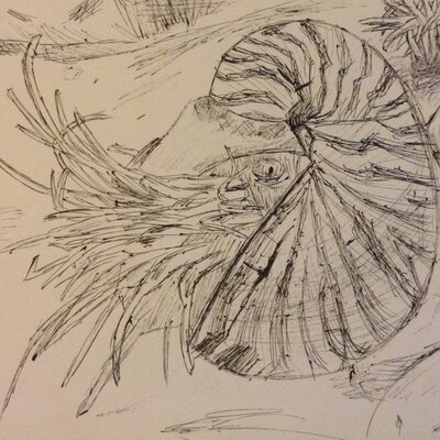 Profile Picture of Jamie Hargrove (@zyzzyvification) on Twitter