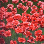 Profile Picture of Peter Fitch (@frpeterfitch) on Instagram