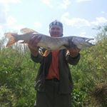 Profile Picture of Pavel  Kuznetsov (@pavel_kuznetsov80) on Instagram