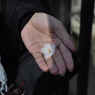 Profile Picture of Liz Wong (@lizwong321) on Twitter