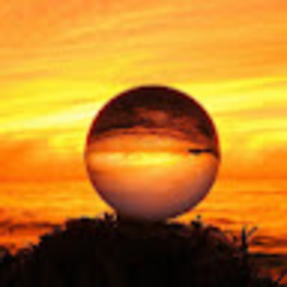 Profile Picture of Bruce Tran (@btran836) on Poshmark