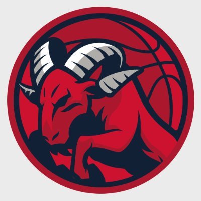 Profile Picture of Saski Baskonia (@Baskonia) on Twitter