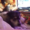 Profile Picture of Robert Knopp287 (@robertknopp) on Tiktok
