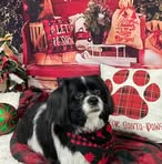 Profile Picture of Connie Hart (@connie.hart.14473) on Facebook
