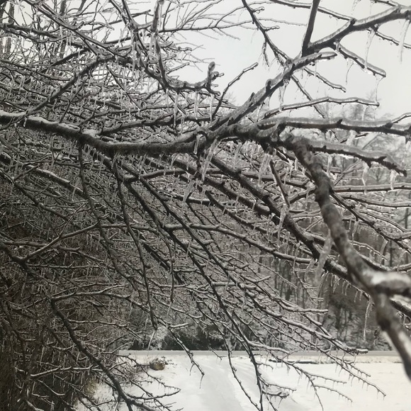 Profile Picture of Adam Rakes (@adamrakes9) on Poshmark